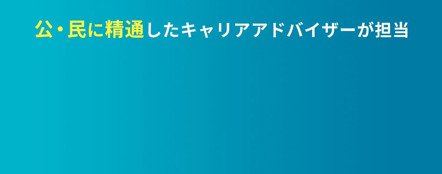 公・民に精通したキャリアアドバイザーが担当