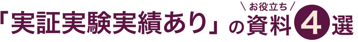 実証実験実績あり