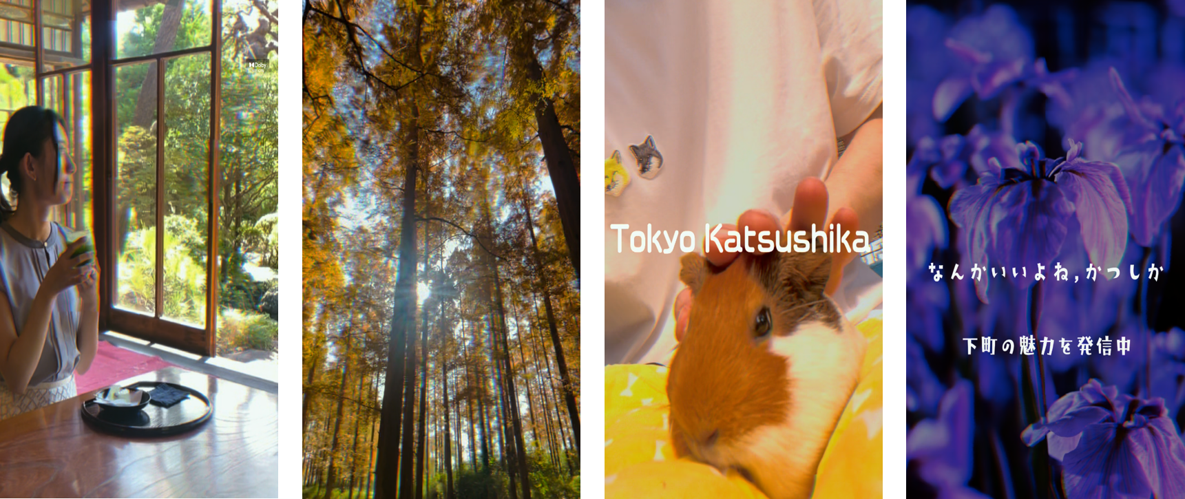 TikTok、東京都葛飾区と協力のもと、区内の観光・フォトスポットやグルメなど、下町の魅力をショートムービーで発信